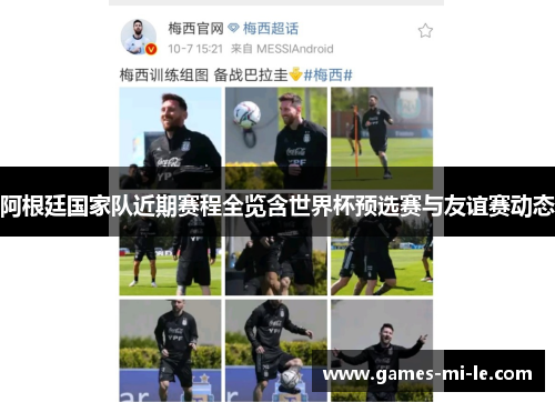 阿根廷国家队近期赛程全览含世界杯预选赛与友谊赛动态