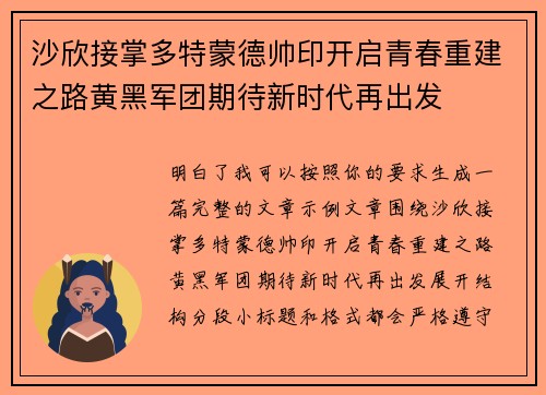 沙欣接掌多特蒙德帅印开启青春重建之路黄黑军团期待新时代再出发